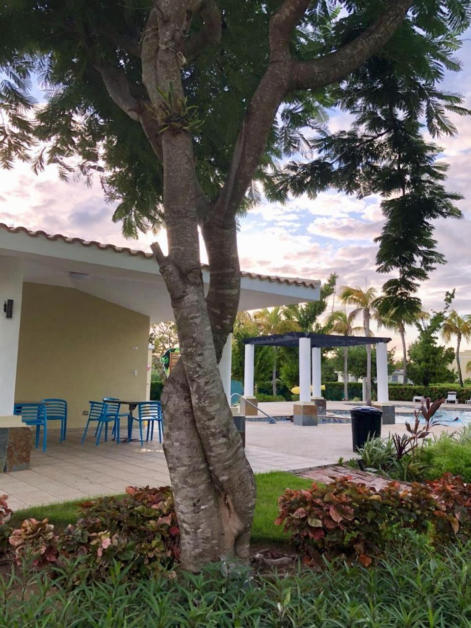 Aquatika Paraiso Tropical Loiza Εξωτερικό φωτογραφία